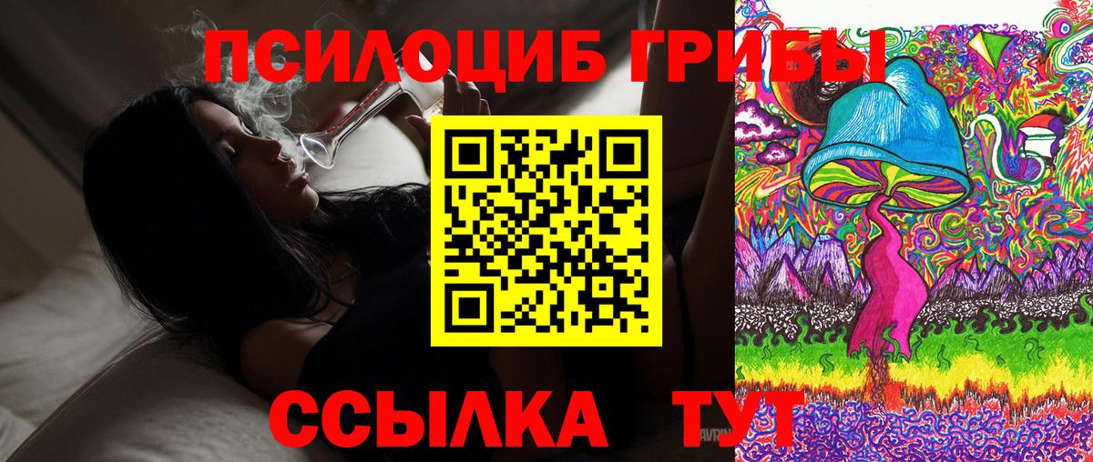 Галлюциногенные грибы MAGIC MUSHROOMS  Вход с VPN  Торжок  Галлюциногенные грибы мицелий 